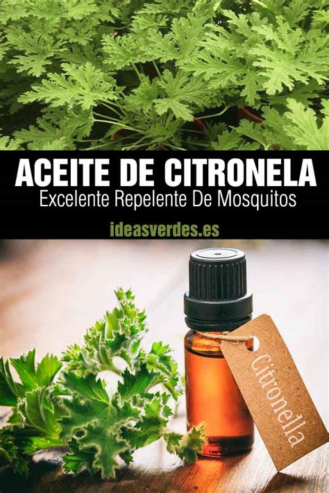 Alcohol de Citronela: Usos y Propiedades