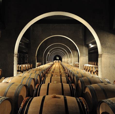 Bodega en la Ribera del Duero