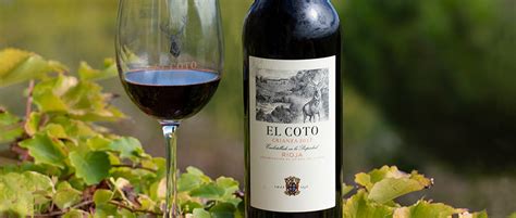 Botella de Vino Tempranillo