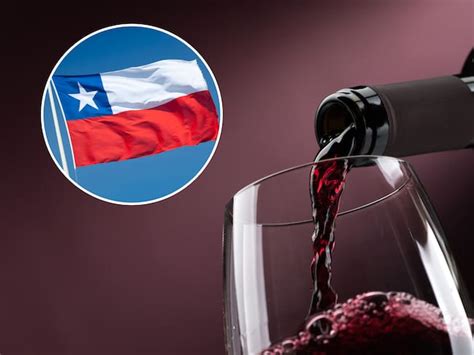 Botellas de vino chileno