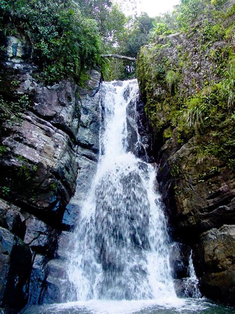 Cascada La Mina, Bosque Nacional El Yunque