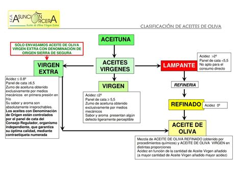 Clasificación de Aceites de Oliva