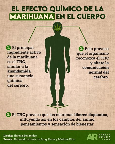 Consecuencias del consumo de cannabis
