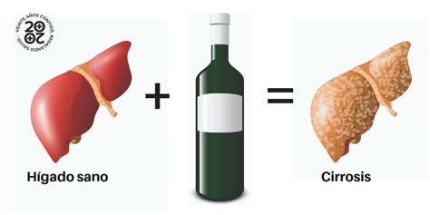 Daños en el hígado por el alcohol