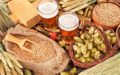 Elaboración artesanal de cerveza