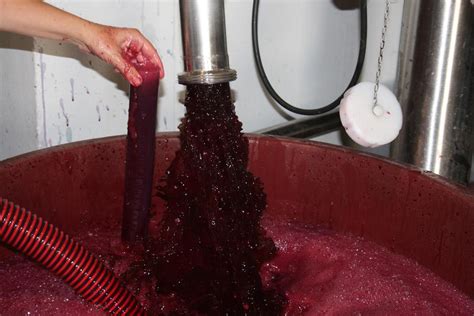 Elaboración de vino artesanal