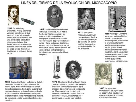 Evolución de la sangría a través del tiempo
