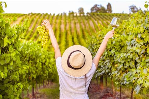 Experiencias de Vino