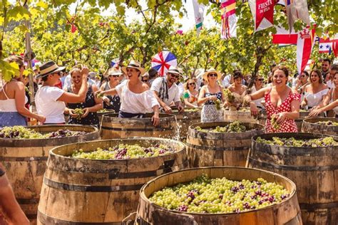 Imagen de la Fiesta de la Vendimia de Temuco