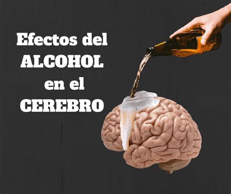 Impacto del Alcohol en el Cerebro