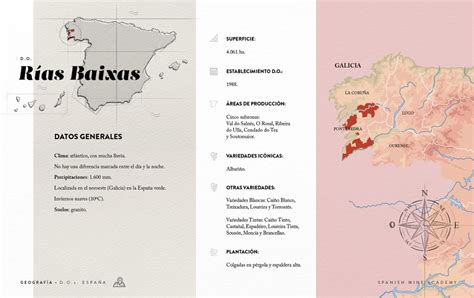 Infografía de la Denominación de Origen Rías Baixas