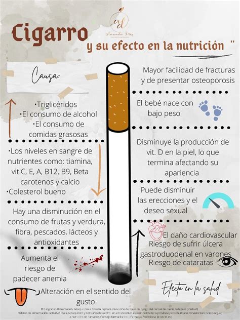 Infografía sobre los efectos del tabaco