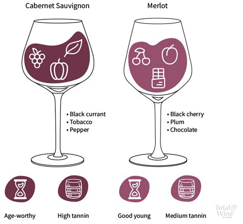 Merlot vs Cabernet Sauvignon