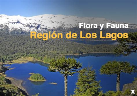 Paisaje de la Región de Los Lagos