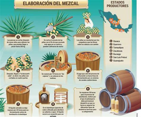 Proceso de Elaboración del Mezcal