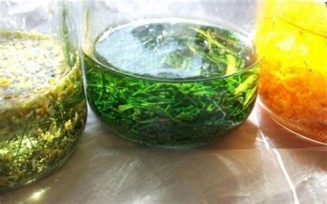 Proceso de Maceración