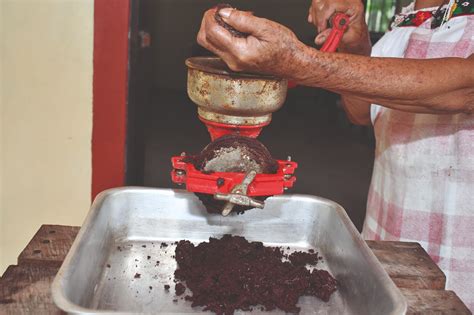 Proceso de Prensado del Cacao