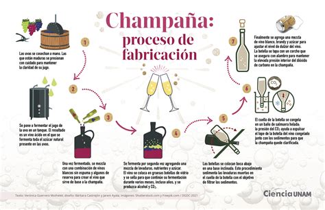 Proceso de elaboración del Champagne