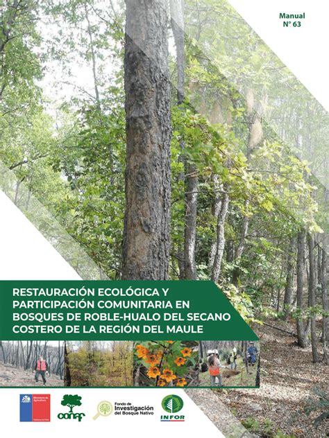 Secano Costero de la Región del Maule