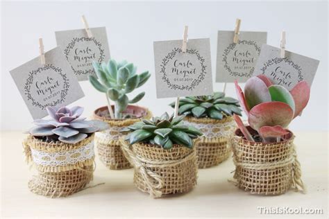 Semillas como recuerdo de boda