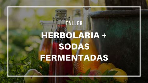 Sodas fermentadas caseras