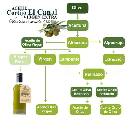 Tipos de Aceite de Oliva