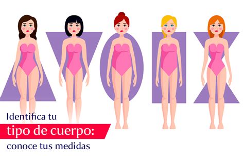 Tipos de cuerpo
