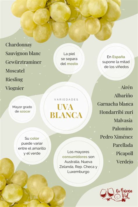 Variedades de Uva Blanca