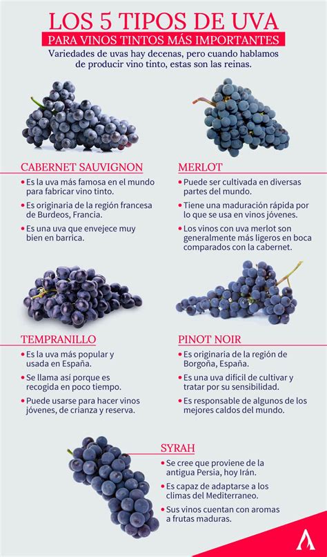 Variedades de Uvas