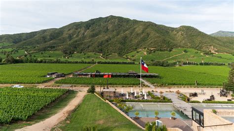 Viñedos Chilenos