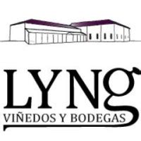 Viñedos Lyng