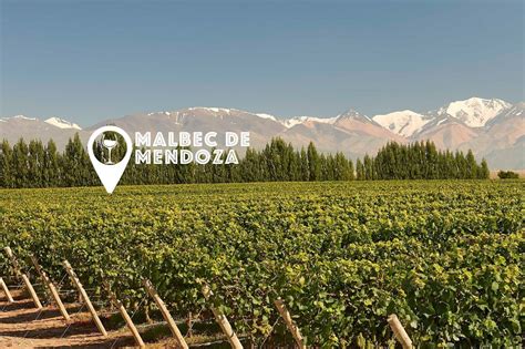 Viñedos de Malbec en Argentina