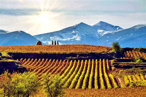 Viñedos de Rioja