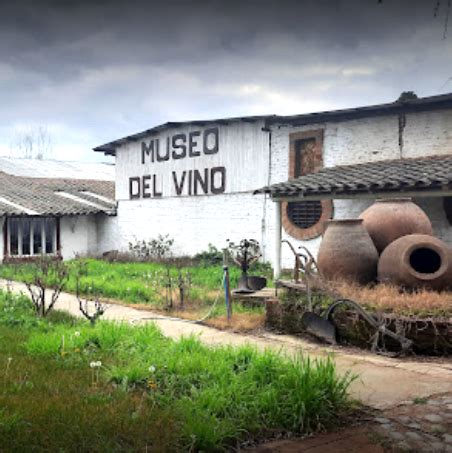 Viñedos en Villa Alegre