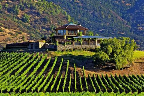 Viñedos en el Valle de Colchagua, Chile