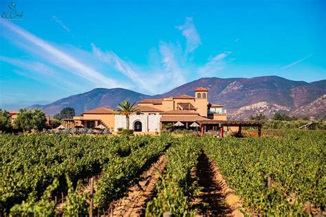 Viñedos en el Valle de Guadalupe