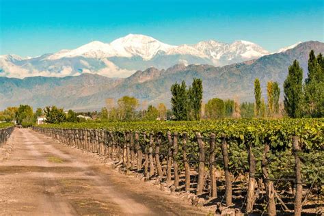 Viñedos en el Valle de Uco