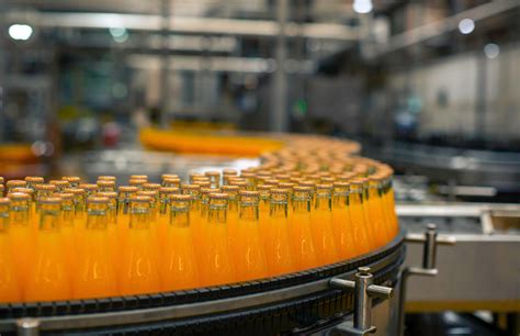 industria de alimentos y bebidas